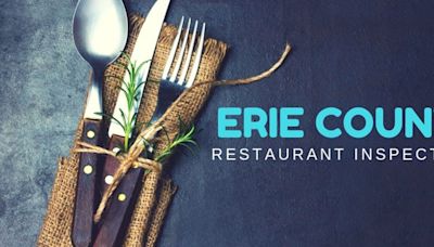 Erie County restaurant inspections for June 27-July 10, 2024