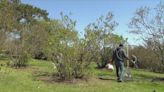 Genesee Brewery staff help clean up Highland Park