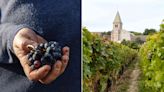 Upstart Winemakers Are Shaking up One of France’s Most Iconic Wine Regions, With Superb Results