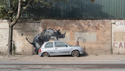 Banksy unveils rhino art that looks as though the animal is climbing on to a car