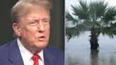 Donald Trump's 'Nonsensical' Jab At Rising Sea Levels Is Hit By Wave Of Mockery