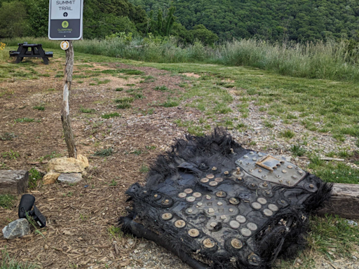 Debris Found in North Carolina Came From SpaceX Dragon, NASA Says