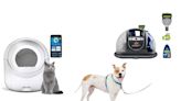 8 Early Pet Deals to Shop Before Amazon’s Pet Day