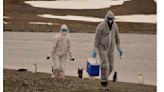 科學家警告：流感最可能引爆下一波全球疫情 H5N1令人憂