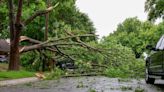 2 FEMA centers open in Dallas County for those seeking aid after damaging May storms