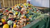 Earth Day 2024: 4 effective strategies to reduce household food waste - EconoTimes