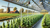 Canadian Cannabis Co. Village Farms Targets Dutch Market, Plans To Begin Production In Netherlands By Q4 2024 - Village...