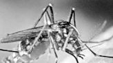 NJ's first 2018 case of virus reported: This week in Central Jersey history, Aug. 7-13