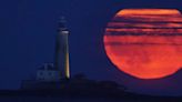 Last Night Was 2023's First Supermoon And The Pictures Are Gorgeous