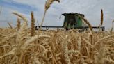 Wheat futures rise toward highest finish since August