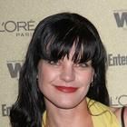 Pauley Perrette