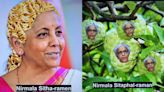 PHOTOS: From Ramen To Sithapal, Meme Edits Of Finance Minister Nirmala Sitharaman Go Viral On Reddit