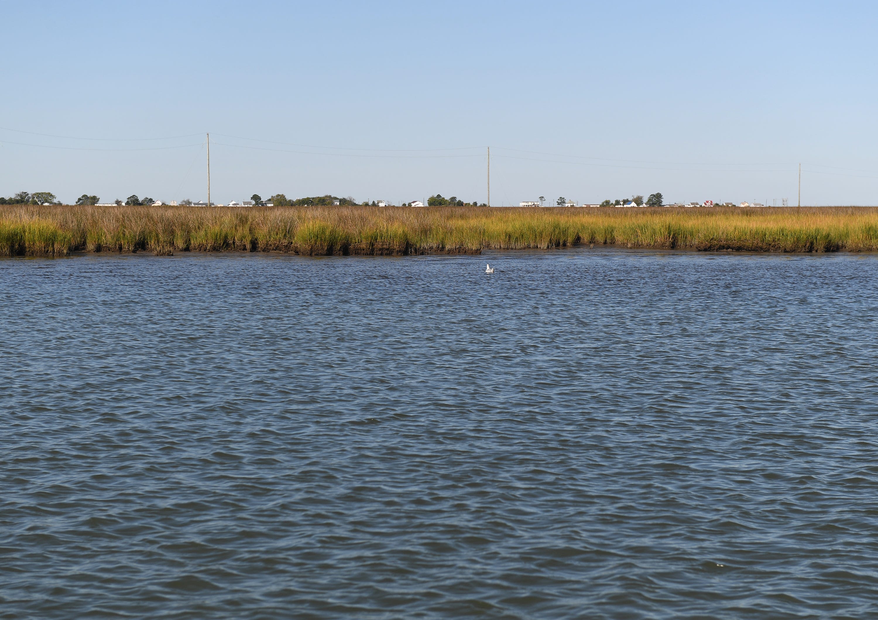 What can save imperiled Tangier Island? Here's what's in works now