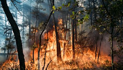 New Jersey forest fire that was sparked by fireworks is 75% contained