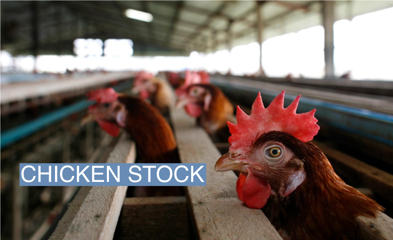 Biotech stocks are rising alongside bird flu fears