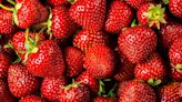 Por qué las fresas no suelen durar más de dos días en la nevera: el mejor truco para que aguanten más tiempo