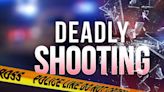 Two dead in Pulaski Co. shooting