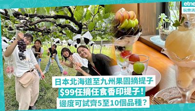 日本水果｜山梨岡山北海道果園摘提子！$99任摘任食香印提子！無限Refill「葡萄皇后」、一次過試5至10個品種葡萄 | Katty - 主場·日本