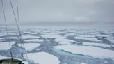 北極融冰影響氣候變遷？極地探險研究專家，分析2022極端氣候成因