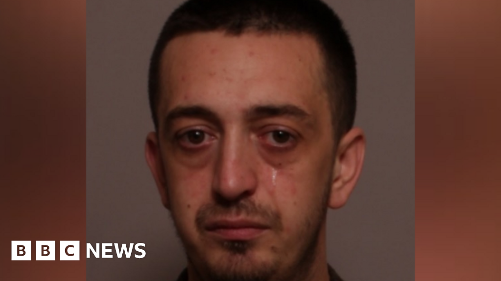 Leicester hit-and-run driver extradited from Romania to face justice