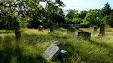 Army with weedeaters is sought to clean up 12-acre Cranston cemetery