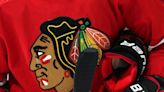 Native American Curator Sues Chicago Blackhawks, Walker Art Center in Legal Trouble Over Breastfeeding...
