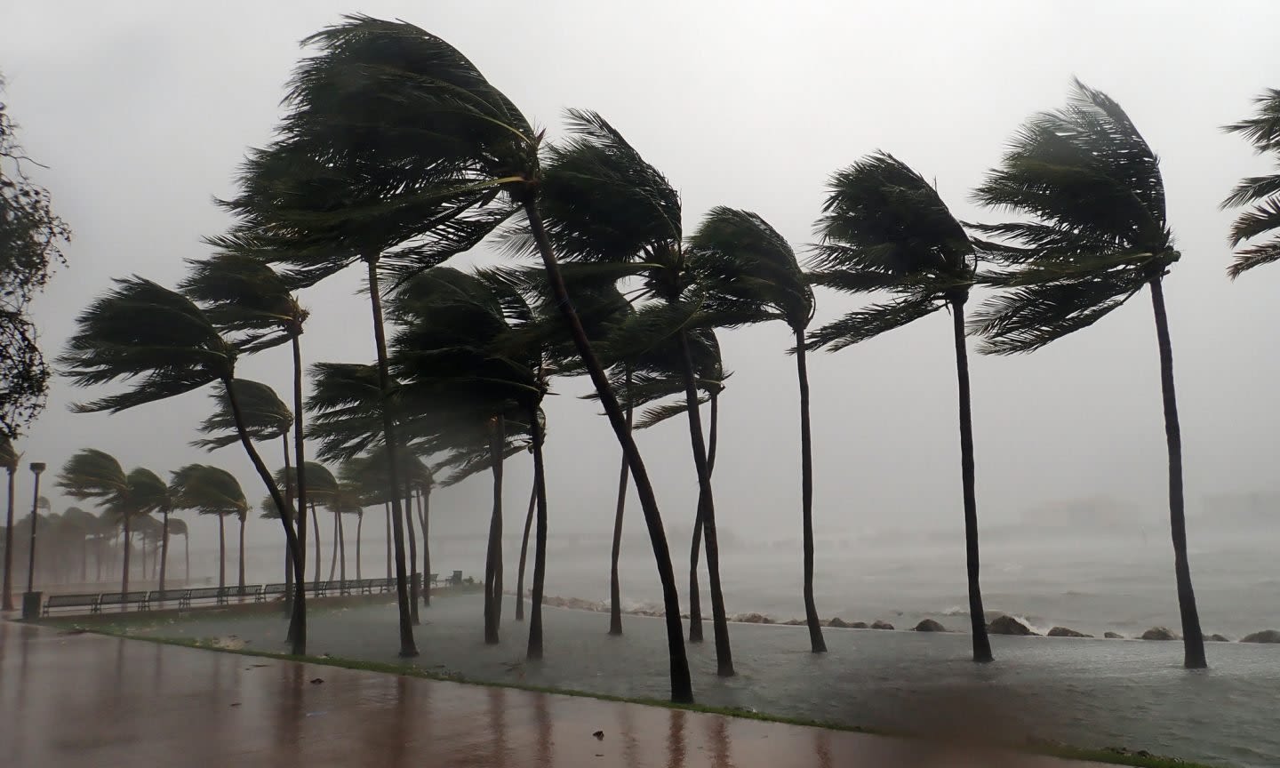 7 Tips to Prepare Your House for Hurricane Season - NerdWallet