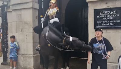 King's Guard horse bites woman so hard she faints