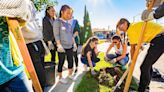 Long Beach youth organizations can apply for grants to support climate change mitigation projects