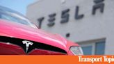 Tesla Stock Leaps on Reports of Chinese Approval of FSD | Transport Topics