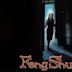 Feng Shui (2004 film)