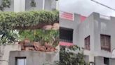 WATCH: Illegal Structure Outside Trainee IAS Puja Khedkar's Pune Residence Razed