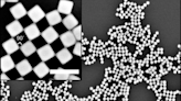 Nanosized blocks spontaneously assemble in water t | Newswise