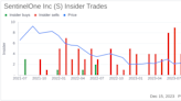 Insider Sell Alert: CFO David Bernhardt Sells 55,983 Shares of SentinelOne Inc