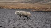 Desaparece laguna por peor sequía reciente en Andes de Perú