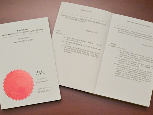 23條立法｜維護國安例生效 叛國囚終身 勾結境外勢力罪加一等