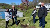 White Township plants trees for Earth Day observance