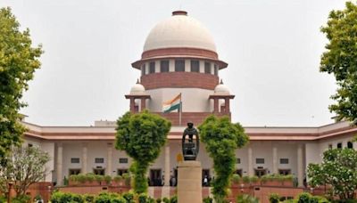 SC grants two-week interim bail to Bhima Koregaon accused Mahesh Raut