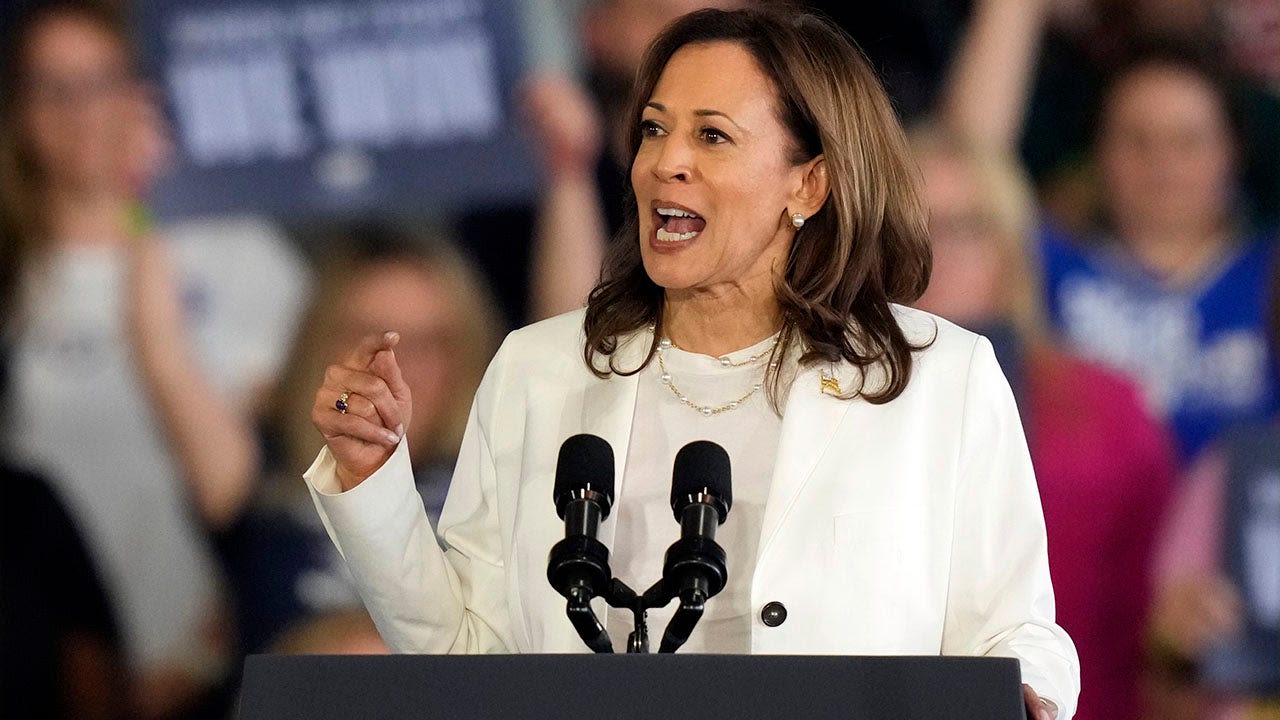 Kamala Harris shuts down anti-Israel protesters during campaign speech in Michigan: 'I'm speaking'