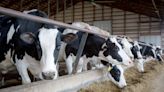 State identifies second dairy with bird flu, expands testing