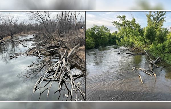 Cannon River water rescue saves multiple people after canoes, kayak capsize