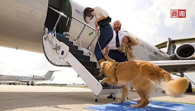 搭機，狗才是VIP！全球首家狗專屬航空5月首飛、機票近20萬⋯你搭不搭