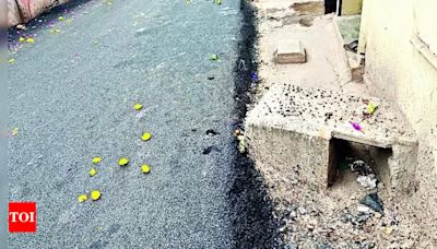 Trouble Caused by Poor Road Relaying in Chennai | Chennai News - Times of India