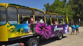 El trenet de la Granadella de Xàbia se queda corto: lo cambian por un bus con 49 plazas