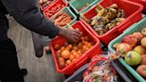 World food price index falls in October -FAO
