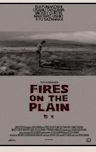 Fires on the Plain (1959 film)