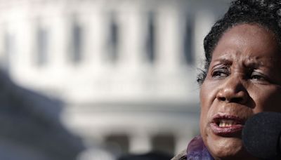 Ballot replacement for Sheila Jackson Lee to be chosen by Democratic precinct chairs