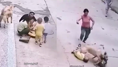 Video: Not A Scene From Bollywood! Stray Dog Rescues Toddler In Style, Internet Says, ‘Power Of Parle G’