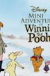 Mini Adventures of Winnie the Pooh