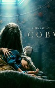 Cobweb (2023 American film)